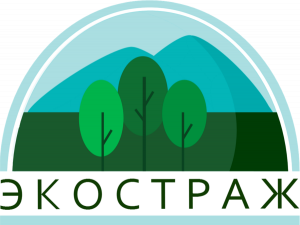 ООО "ЭкоСтраж" предлагает услуги разработке экологической документации организаций ООО "ЭкоСтраж" предлагает услуги разработке экологической документации организаций