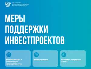 Оценка бизнесом мер государственной инвестиционной поддержки Оценка бизнесом мер государственной инвестиционной поддержки