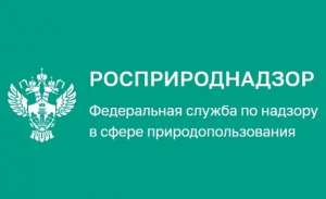 Начиная с 01.01.2022 г. прием статистической отчетности Росприроднадзором будет осуществляться только в электронном виде