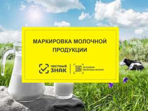 Требования о передаче в государственную информационную систему  мониторинга за оборотом товаров, подлежащих обязательной маркировке